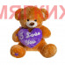Мягкая игрушка Медведь DL106000240PE